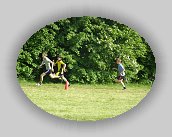 P5310042 * 2048 x 1536 * (518KB)