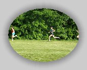 P5310044 * 2048 x 1536 * (756KB)
