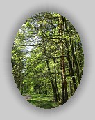 IMG_1754 * 2448 x 3264 * (4.78MB)