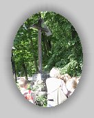 IMG_2085 * 2448 x 3264 * (4.82MB)