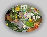 IMG_0443 * 1024 x 768 * (423KB)