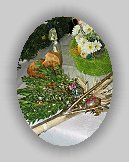 IMG_0445 * 768 x 1024 * (470KB)