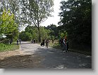 IMG_1659 * 3264 x 2448 * (3.05MB)