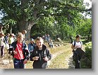 IMG_1698 * 3264 x 2448 * (3.58MB)