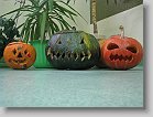 IMG_8479 * 800 x 600 * (89KB)
