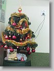 IMG_8703 * 2448 x 3264 * (2.45MB)