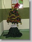 IMG_1448 * 2448 x 3264 * (2.55MB)
