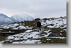 DSC02795 * 480 x 320 * (92KB)