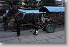 DSC02816 * 480 x 320 * (94KB)