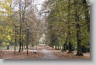 DSC06025 * 4592 x 3056 * (10.09MB)