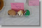 DSC06703 * 480 x 320 * (78KB)