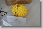 DSC06705 * 480 x 320 * (78KB)