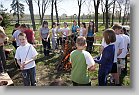 DSC07174 * 480 x 320 * (77KB)