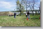 DSC07183 * 480 x 320 * (75KB)