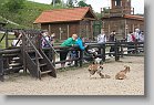 DSC07455 * 480 x 320 * (71KB)