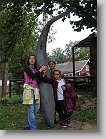 IMG_1001 * 1536 x 2048 * (1.58MB)