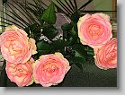 IMG_1214 * 2048 x 1536 * (1.44MB)
