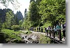 DSC00572 * 480 x 320 * (87KB)