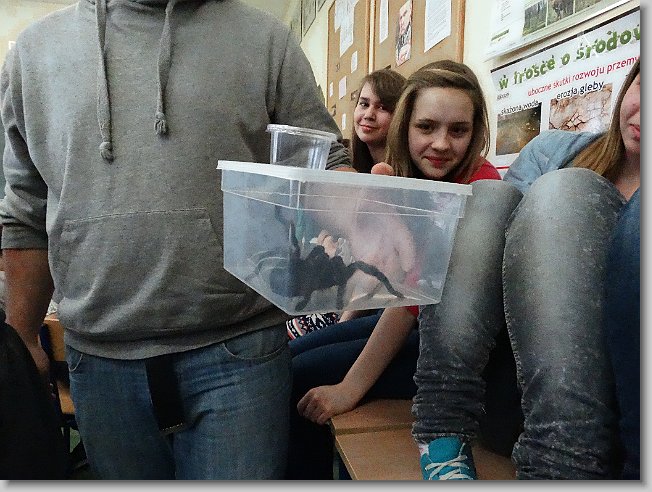 To jest ostatnie zdj\u0119cie