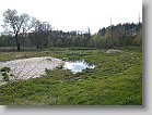 Mokradla * 1958 x 1469 * (948KB)