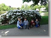 093 * 861 x 646 * (205KB)
